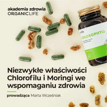Zdjęcie 0