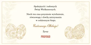 Zdjęcie 0