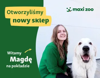 Zdjęcie 0