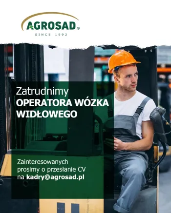 Zdjęcie 0