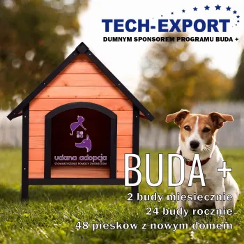 Zdjęcie 0
