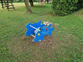 Zdjęcie 1