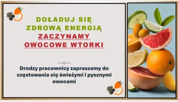 Zdjęcie 0