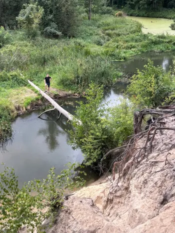 Zdjęcie 5
