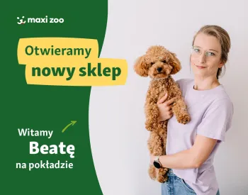 Zdjęcie 0