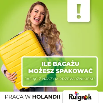 Zdjęcie 0