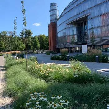 Zdjęcie 0