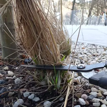 Zdjęcie 2