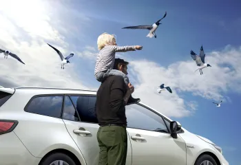 Zdjęcie 4