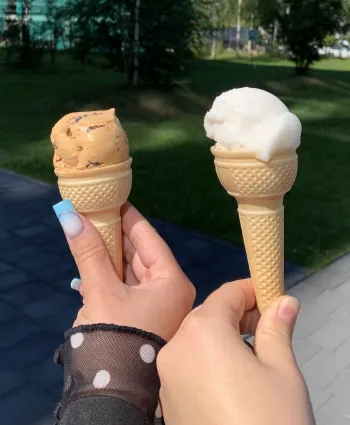 Zdjęcie 1