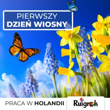 Zdjęcie 0