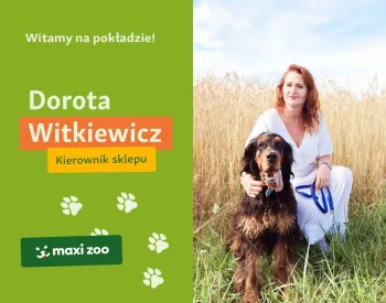 Zdjęcie 0