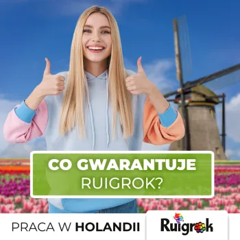 Zdjęcie 0