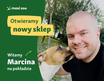 Zdjęcie 2