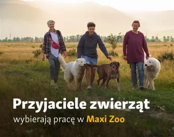Zdjęcie 0