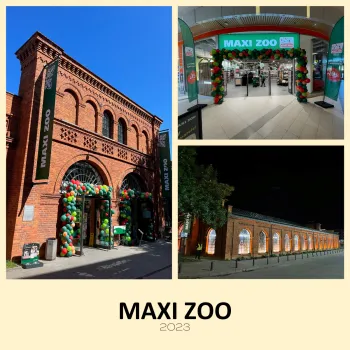 Zdjęcie 0