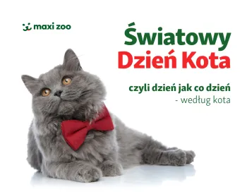 Zdjęcie 0