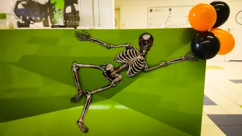 Zdjęcie 0