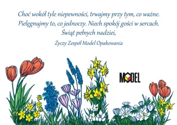 Zdjęcie 0