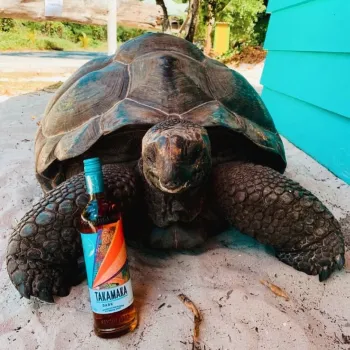 Zdjęcie 0