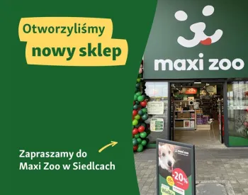 Zdjęcie 2