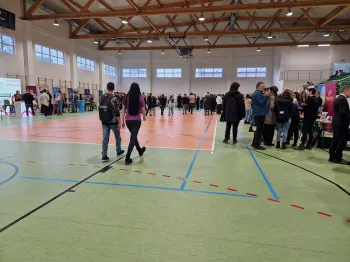Zdjęcie 4