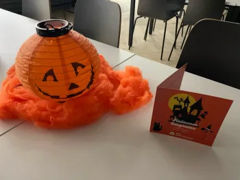 Zdjęcie 1