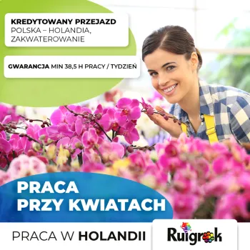 Zdjęcie 0