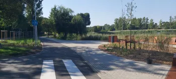 Zdjęcie 1