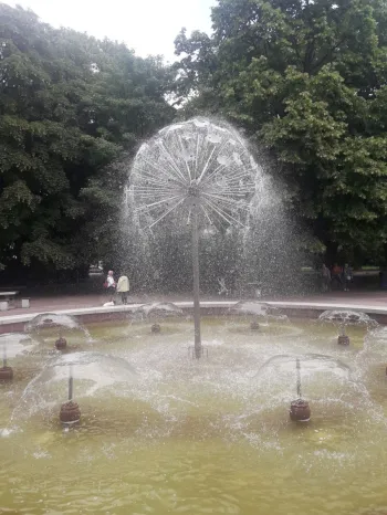 Zdjęcie 5