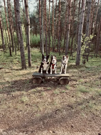 Zdjęcie 5