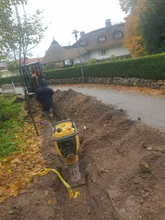 Zdjęcie 1