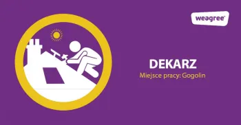 Zdjęcie 0