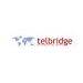 Telbridge sp. z o.o. sp.k.