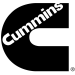 Cummins Ltd. Sp. z o.o. Oddział W Polsce