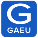 GAEU Consulting