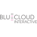 Bluecloud Interactive Sp. z o.o.