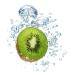 Kiwi Gifts s.c.