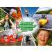 Little Britain Szkola angielskiego - summer camp