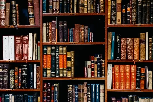 półki na książki w bibliotece