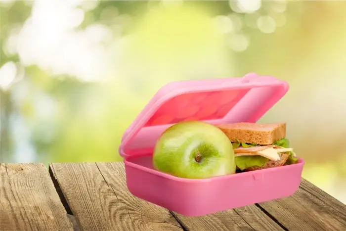 Lunchbox z jabłkiem i kanapką