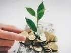 Odprawa emerytalna - zblizenie na dłoń mężcyzzny kładącego monety na roślinie