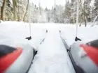 Osoba na nartach w górach, wokół śnieg i drzewa