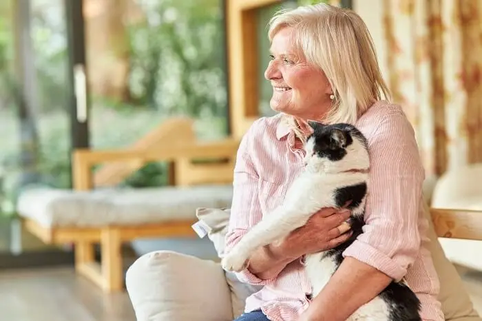 Felinoterapia - starsza osoba z kotem terapeutą