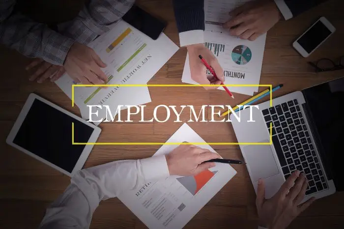 Osoby pracujęce przy stole, przeglądające dokumentację na tle napisu employment