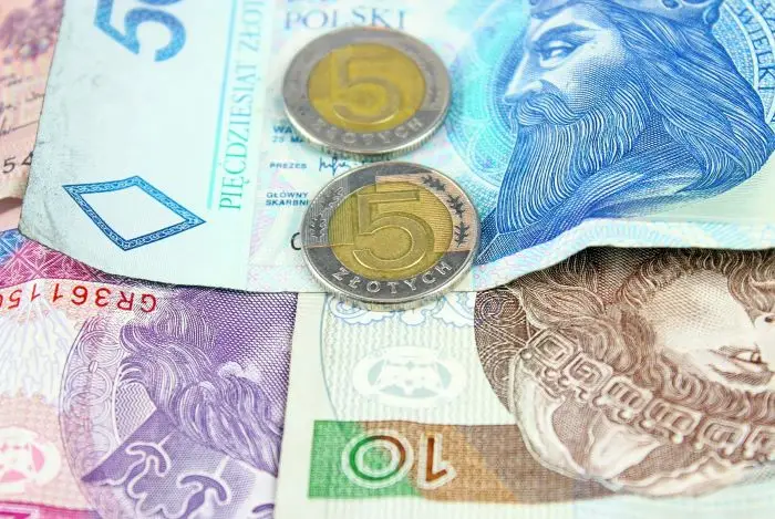 Polskie banknoty i bilon