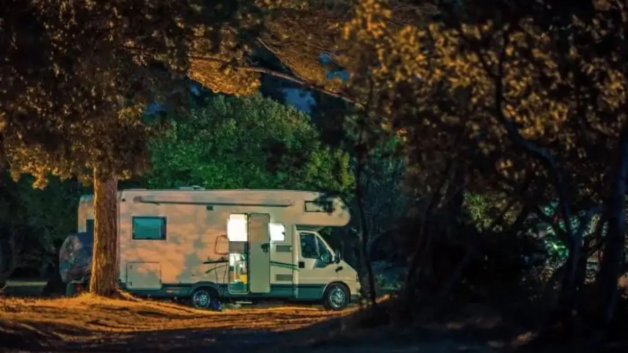 Kamper ustawiony nocą pod drzewami - akcyza od kampera
