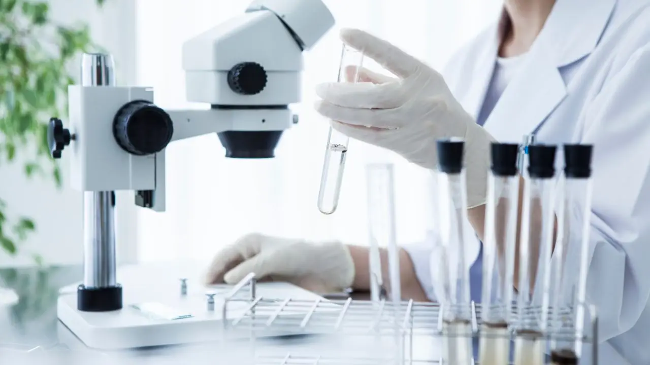 Diagnosta labolatoryjny porównujący próbki