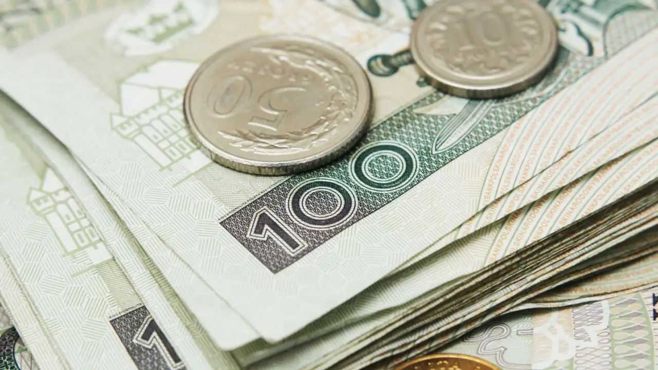 Zarobki Ukraińców w Polsce - polskie pieniądze banknoty i bilon