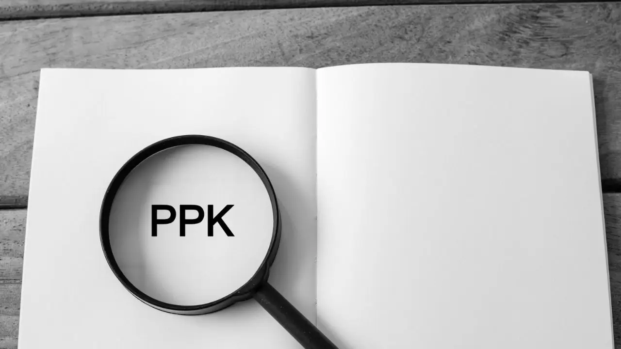 Kary PPK -